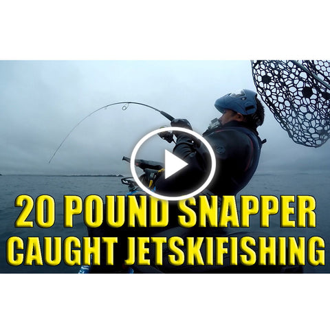 20 Pound Hauraki Gulf Snapper 2017